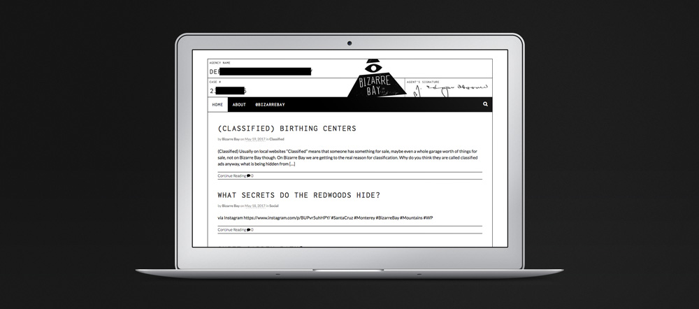Website